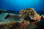 El Coral, Bahia de Cochinos, Cuba;  1/80 sec at f / 9,0, 10 mm